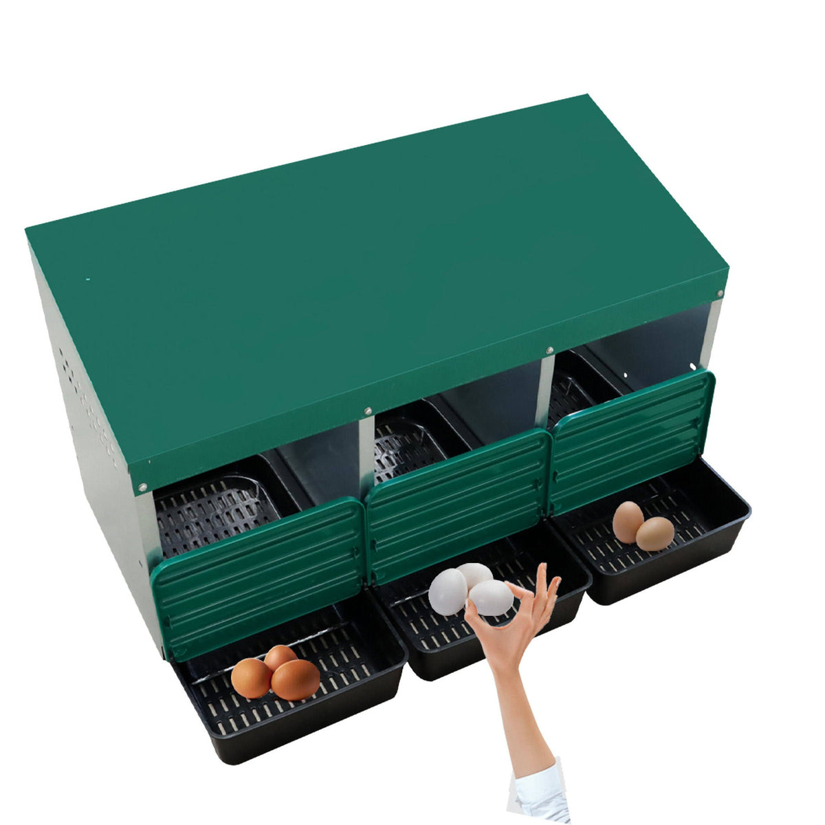 EggHouse Galvanized Nesting Box (Up to 30 Birds)