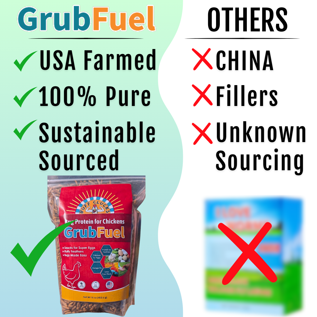 GrubFuel - Black Soldier Fly Larvae for chickens