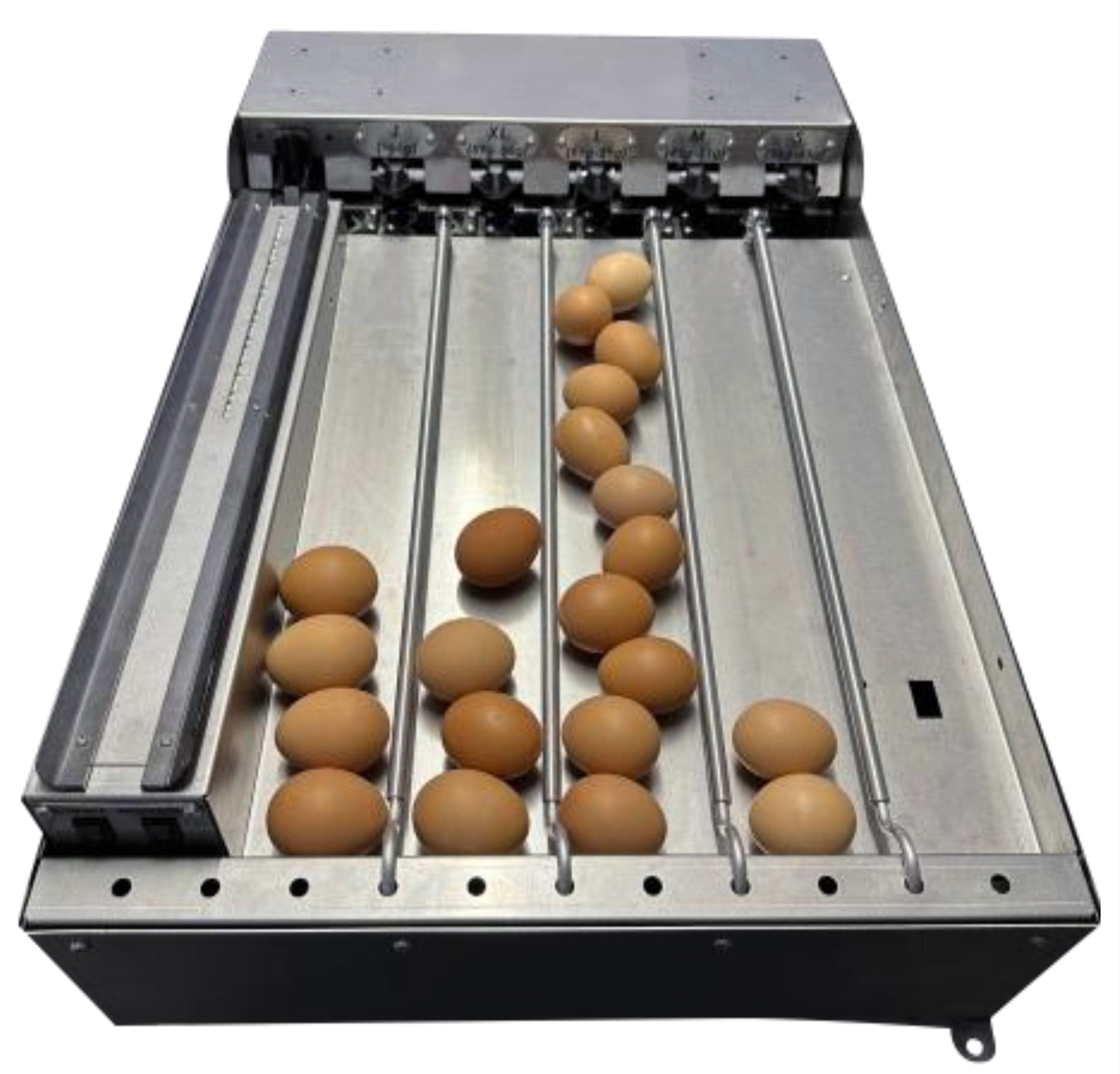 SureGrade 750 Egg Grader - Grade 750 Eggs per hour