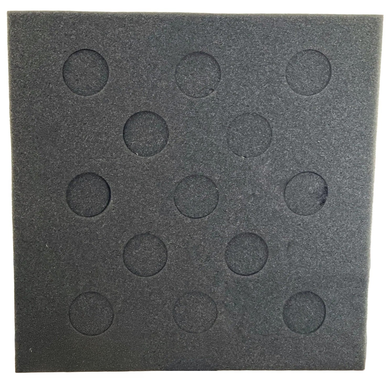 13 Chicken Egg Foam Shipper Set 12"x12" (Standard)