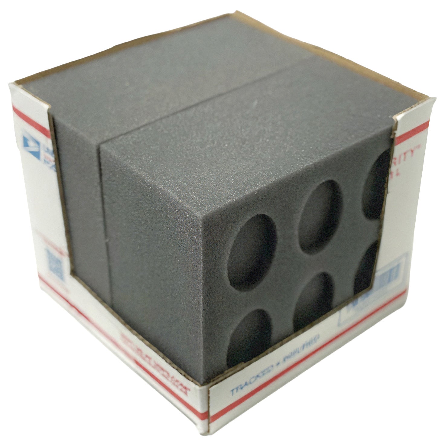 12 Chicken Egg Oblong Foam Small Kit (Standard)