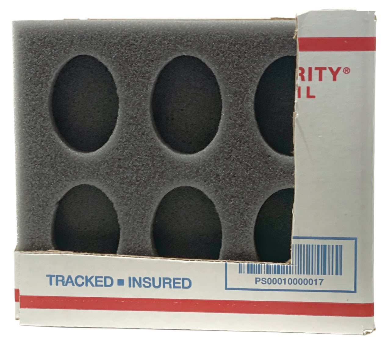 12 Chicken Egg Oblong Foam Small Kit (Standard)