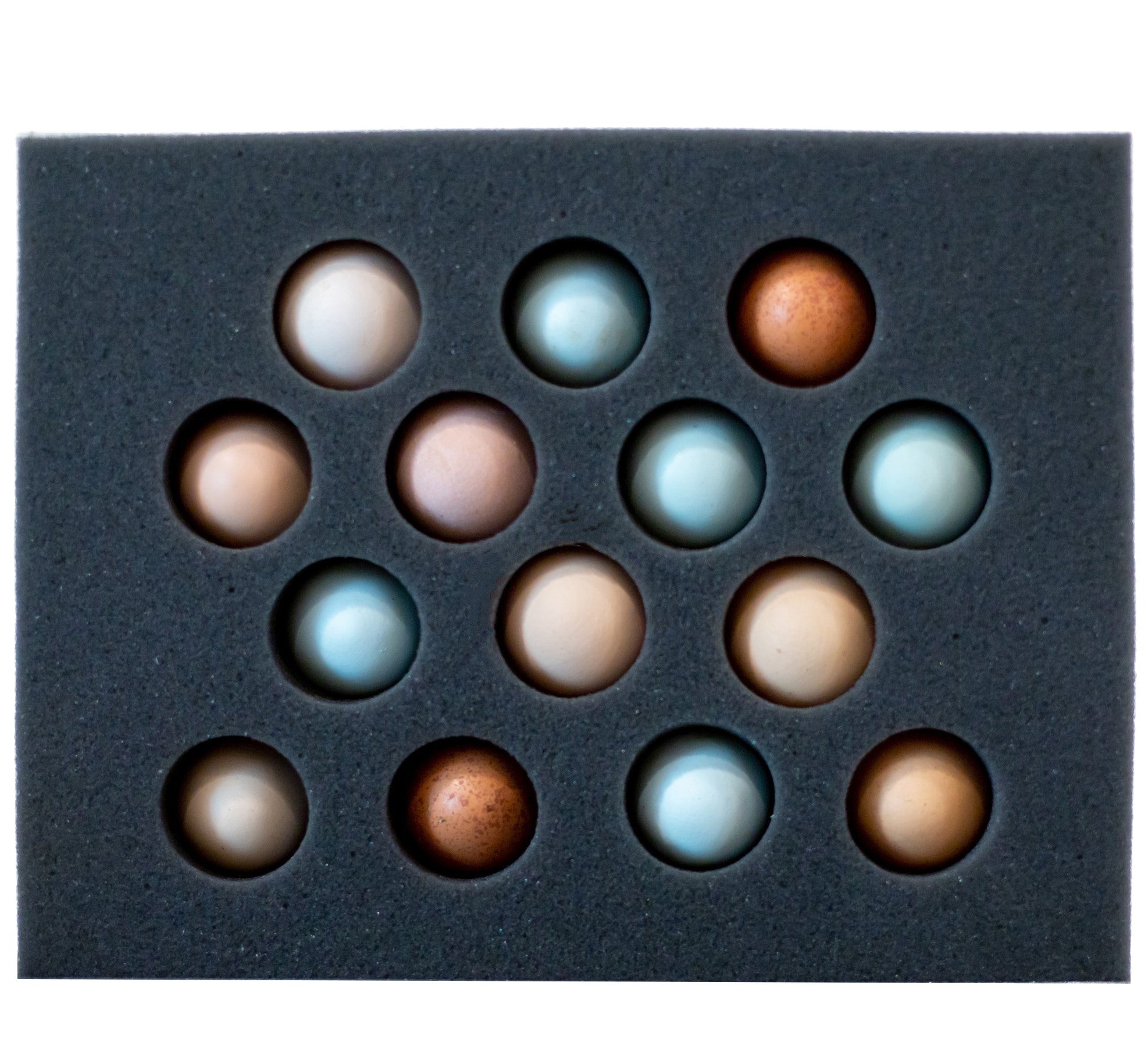 14 Chicken Egg Foam Shipper Set (Standard)