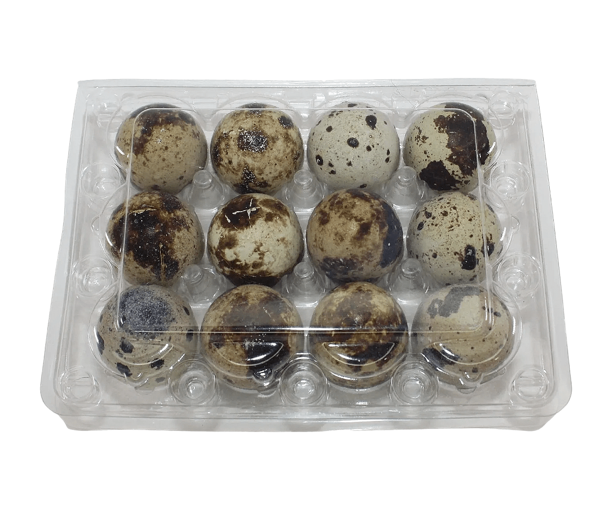 12-cell Jumbo Quail Egg Cartons (3x4)