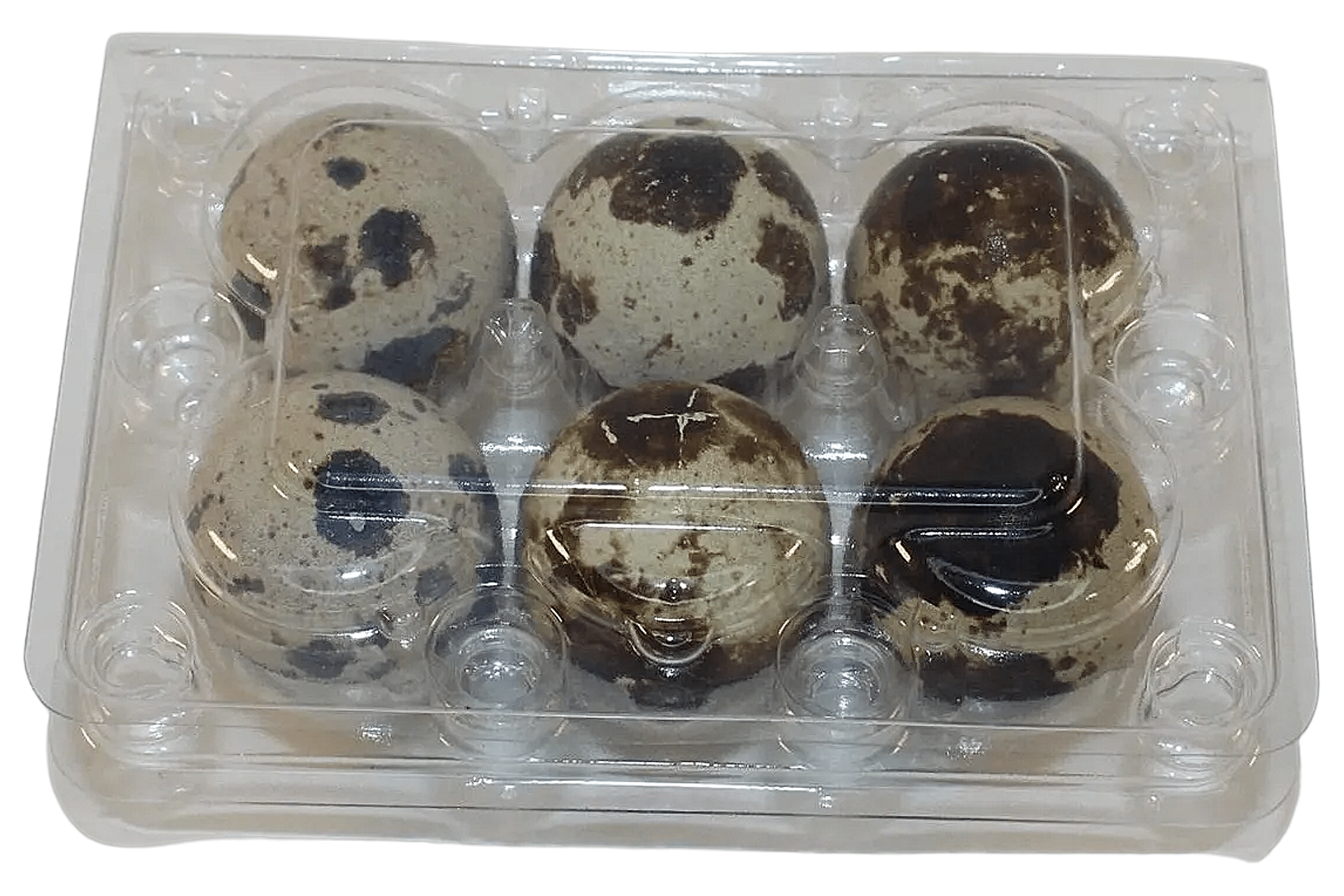 6-cell Jumbo Quail Egg Cartons (2x3)