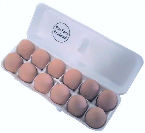 12 pack of Brown ceramic dummy chicken size eggs