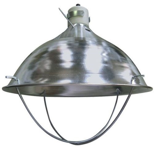 Standard brooder lamp light fixture
