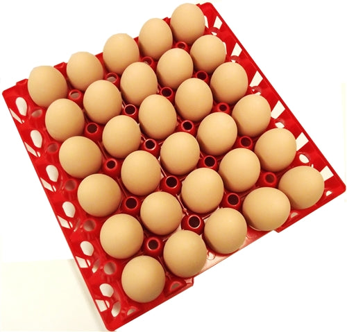 12 Pack of Rite Farm Products 30 Chicken Egg Poly Trays