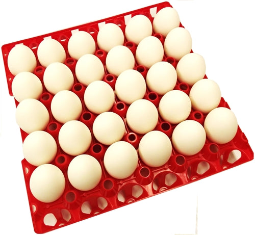 12 Pack of Rite Farm Products 30 Chicken Egg Poly Trays