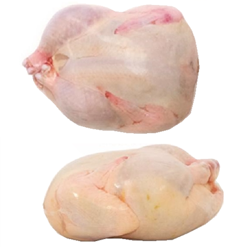 48 pack of 5"x9" Quail Grouse Shrink Bags Poultry Freezer