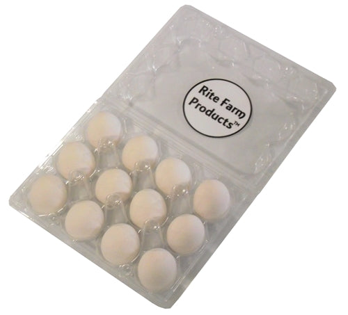 12 Pack of White ceramic dummy Bird Quail size eggs