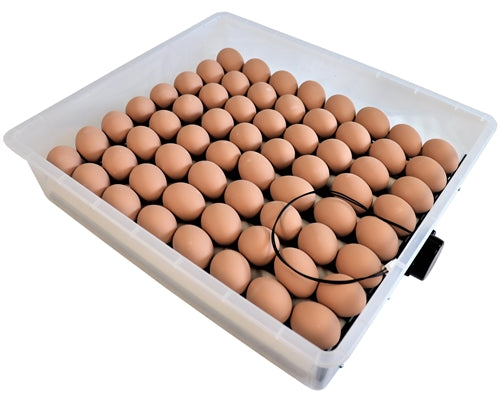 Rite Farm Products Pro Master Series 64 Chicken Egg Incubator
