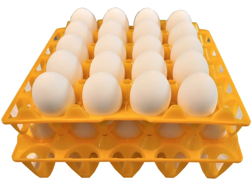 Rite Farm Products 6 20 Egg Plastic Trays for Duck Goose Turkey Peafowl Carton