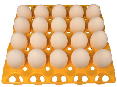 24 Pack of 20 Duck, Goose, Turkey, & Peafowl Size Egg Trays