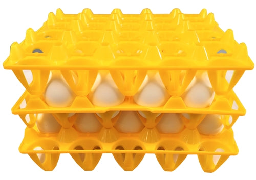 96 Pack of 20 Duck, Goose, Turkey, & Peafowl Size Egg Trays