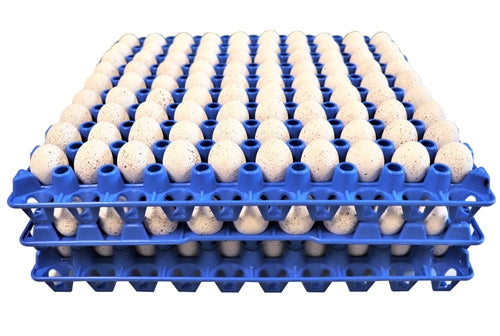 6 Pack of 90 Quail, Pigeon, Dove, & Bird Size Egg Trays