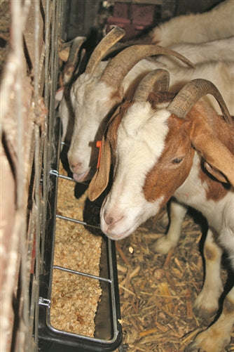 38" 9-Quart 2.25 Gallon Hook Over Goat Trough Feeder Sheep Lamb