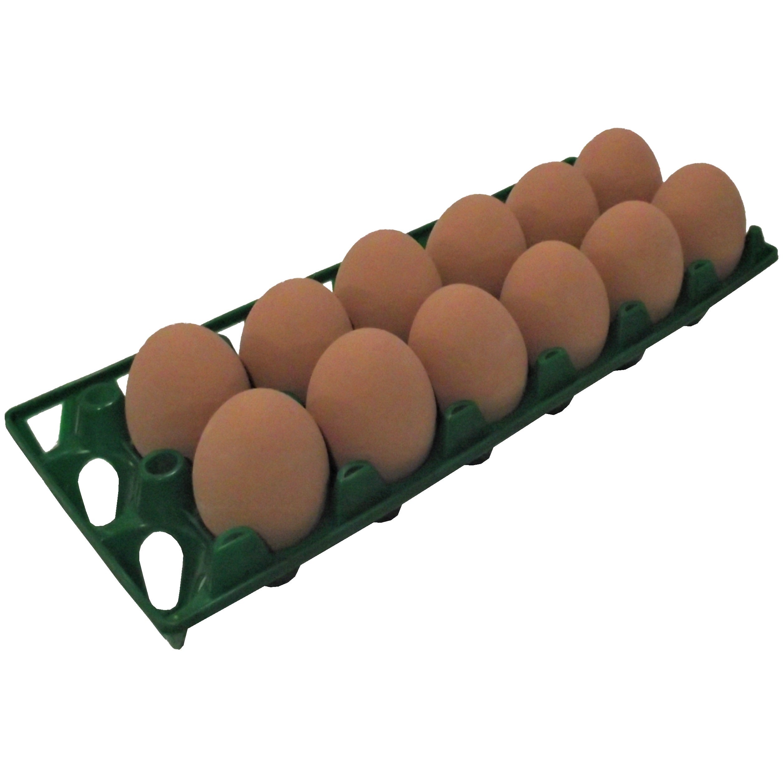 6 Pack of Rite Farm Products 12 Chicken Egg Poly Trays